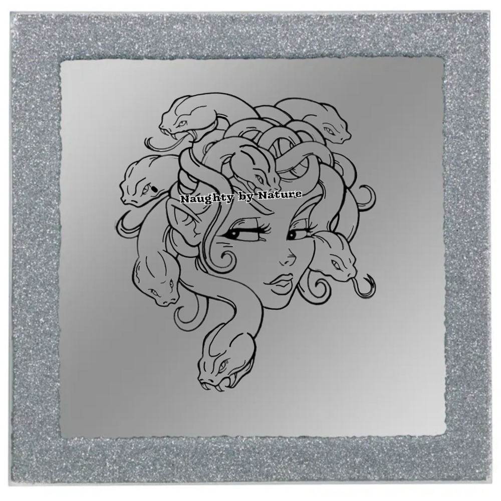 Medusa Art Print on Silver Canvas